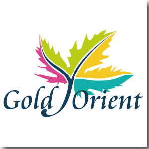 GOLD ORIENT INTERNATIONAL LIMITED | Beauty Fair